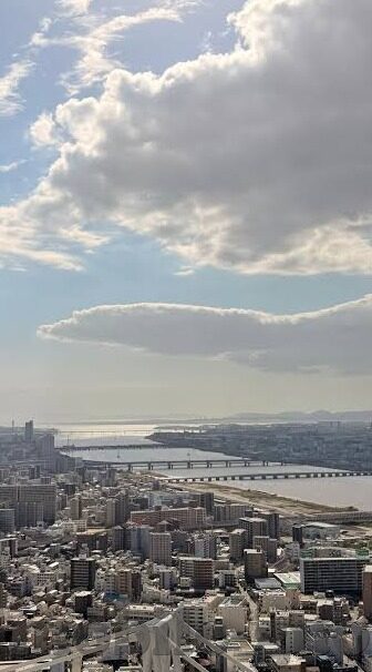 麻豆啊传媒app官-麻豆啊传媒App，数字时代的文化传播新篇章