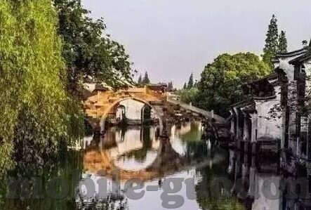 麻豆 av 在线-麻豆 AV 在线，网络文化的双刃剑